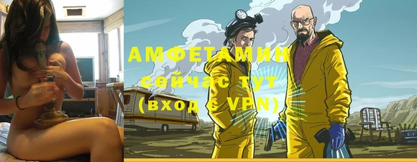 стаф Абаза