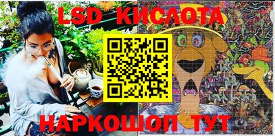 дживик Кандалакша