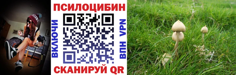 Псилоцибиновые грибы Psilocybine cubensis  Назрань 