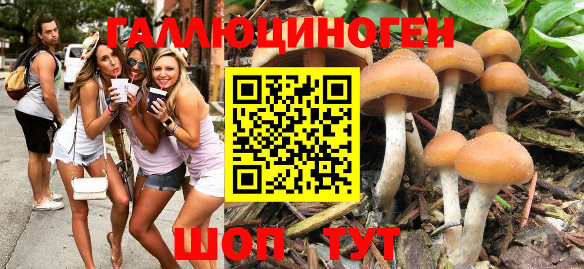 Галлюциногенные грибы Psilocybe  Псилоцибиновые грибы Magic Shrooms  Назрань  продажа наркотиков  Вход с VPN 